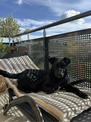 Der gechillte Chilli -einfach ein Traum......*noch in Kroatien*