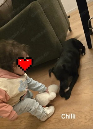 Der gechillte Chilli -einfach ein Traum......*noch in Kroatien* Bild 8