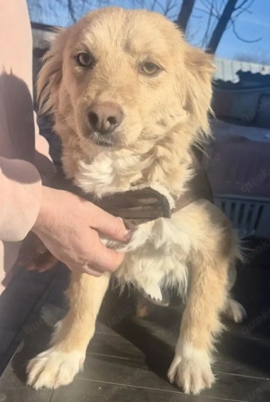 Zierliche kleine Mama BLUNA