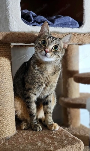 Arosha , 7 Monate alt 