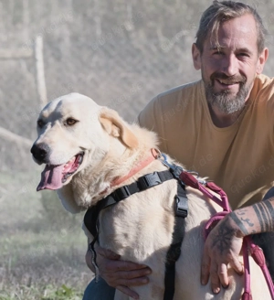 Doya, ein großer Schatz Bild 4