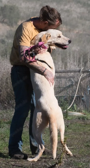 Doya, ein großer Schatz Bild 3