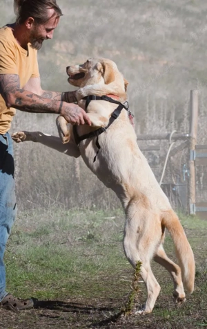 Doya, ein großer Schatz Bild 5