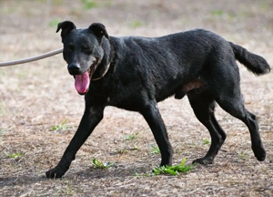 Matteus, ein Seelchen Bild 3