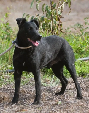 Matteus, ein Seelchen Bild 2