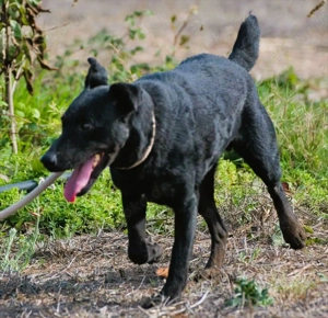 Matteus, ein Seelchen Bild 5