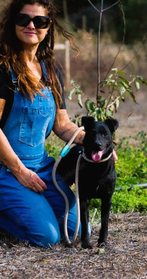 Matteus, ein Seelchen Bild 4