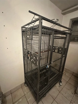 Papagein Käfig Bild 2