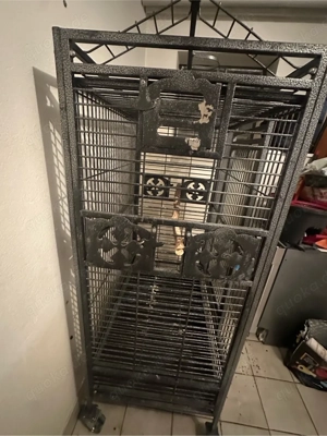 Papagein Käfig Bild 3