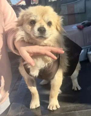 32cm Mini Männlein Janni