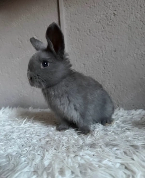 Miniloops Babys Bild 5