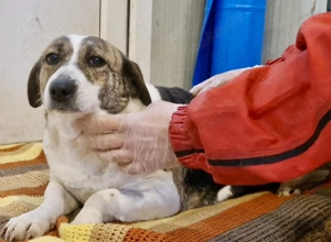 Super freundliche, kleine LUISA