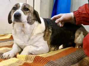 Super freundliche, kleine LUISA Bild 3