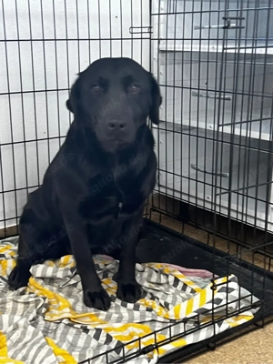 Mara freut sich auf dich 