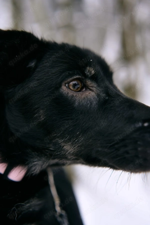 Wirbelwind Kate bringt Schwung in dein Leben