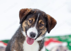 Havier sucht ein aktives Leben...