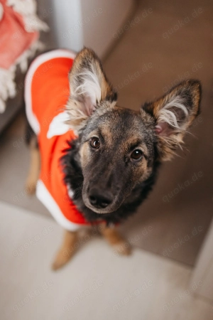 Verzaubert dich die kleine Lisa ?!