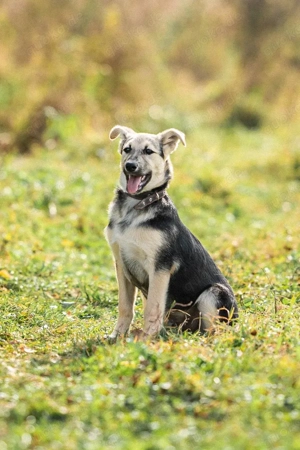 Junger Chernysh möchte die Welt Erkunden
