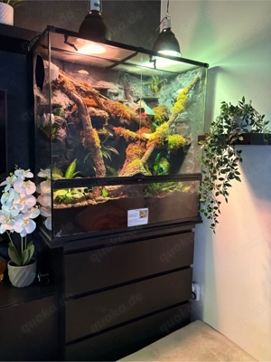 Exoterra Terrarium 90x45x90 + Unterschrank + allem Zubehör