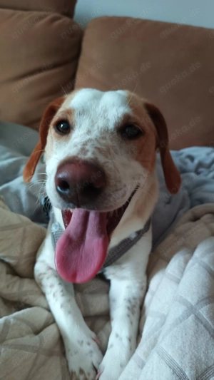 Pablo - ein junger Entdecker auf der Suche nach seinem Zuhause