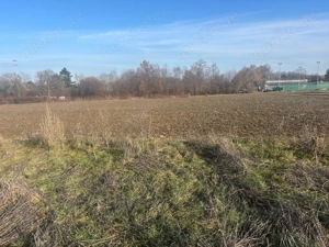 Freizeitgrundstück, Garten Bild 4