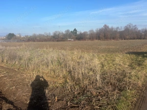 Freizeitgrundstück, Garten Bild 3