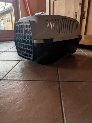 Hundetransport Box  Bild 2