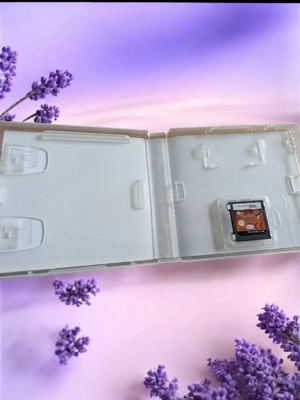 Nintendo DS Spiel Disney TinkerBell   Die Suche nach dem verlorenen Schatz   mit Hülle