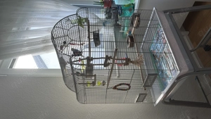 Vogelkäfig zum verkaufen 