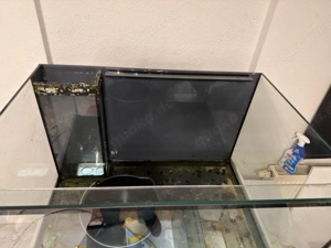 Meerwasser Aquarium komplett!