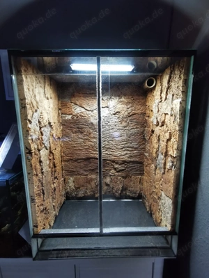 Terrarium   Hochterrarium 