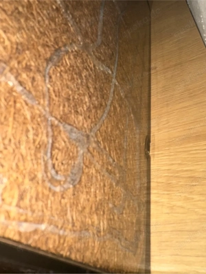 Terrarium 40x40x40 cm mit verklebten Rückwänden und Zubehör.