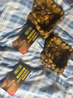 2 neue und unbenutze Corner Water Dish von Exoterra in Medium