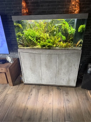 Großes aquatlantis Aquarium komplett. Heute für 330,-FP