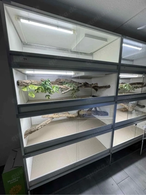 Terrarien von Aluracks