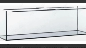 Suche gebrauchtes Aquarium 200x60x60 vm 