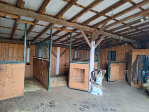 Stall mit 2-3 Boxen mit großem Auslaufpaddock frei!! 