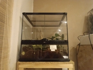 45x45x45 Terrarium inkl Rückwand 