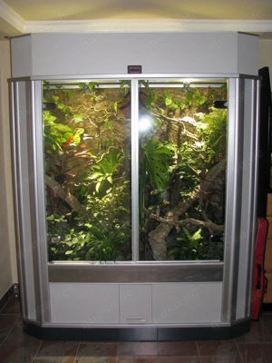 XXL Terrarium Tropen Regenwald