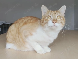 MAURO- selbstbewusst, sozial, selbstständig