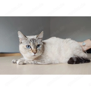 DUNA- ruhig, sozial, lieb 