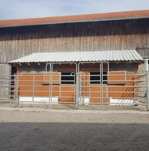 Ein Zuhause für Ihr Pferd - Boxen Frei  Bild 3