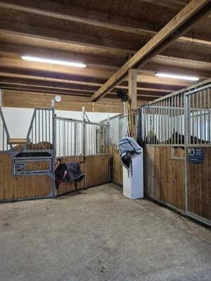 Ein Zuhause für Ihr Pferd - Boxen Frei  Bild 2