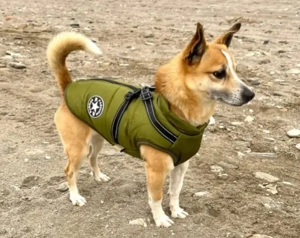 .Verkaufe Hundemantel gefüttert für kleine Hunde.Größe M, neu und unbenutzt