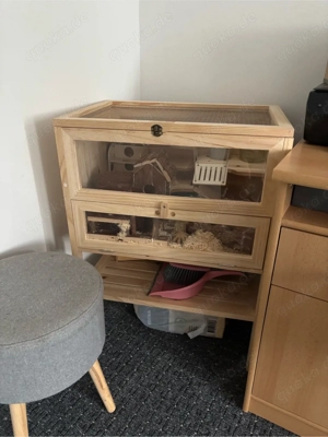 Verkaufe 2 Mäusemädels