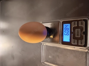 Brahma schwarz blau Bruteier aus Vereinszucht 