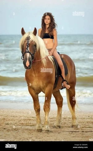 Reitunterricht gratis