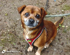 Winzling EMIL     sein Blick berührt 
