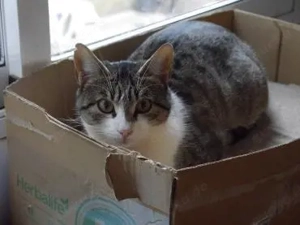 Mery - aus dem Müll gerettet (OLC)