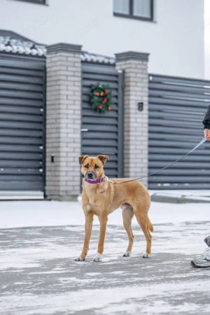 Kasper der wunderschöne...
